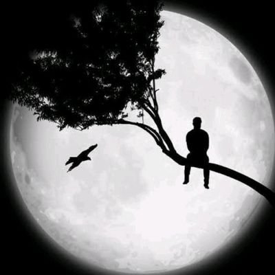 ayomikunab65116's profile picture. 