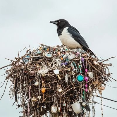 Adriana12744276's profile picture. Vivir el desapego y la separación