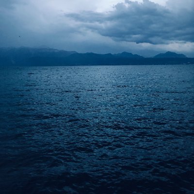 _Sans_Titre_'s profile picture. 