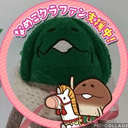 n0nameco's profile picture. champignon好きから、NAMEKO好きへ！NAMEKO、枯れNAMEKO、マサル、それと旅やお出かけの相棒・KINOKONAMEKOが好き。
あだ名『きゅうり』（NAMEJIRO命名）
多忙のため、フォローしているorフォロワーさん以外の通知は切っております。