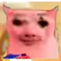 Wayfarer390's profile picture. life is ridiculous 😮‍💨