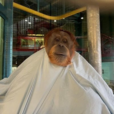 guille_tuzzio's profile picture. Los gestos más pequeños hacen el daño más grande. Todos los miércoles lo mismo.