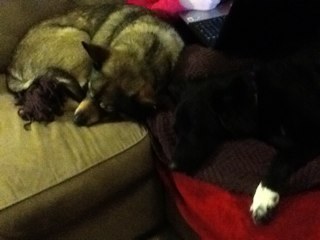 BradBaden's profile picture. 