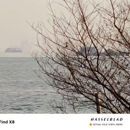 RowanWai's profile picture. 新闻实时跟踪