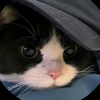 kaixoo (@kqixoo) 's Twitter Profile