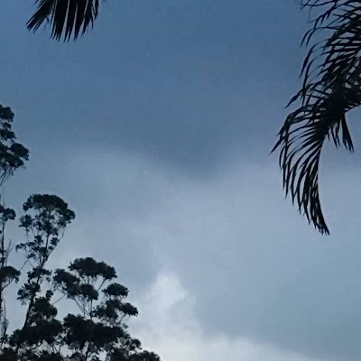 YholyZpe88833's profile picture. 