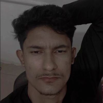 Alexss_10's profile picture. 🇧🇷 desenvolvedor de software / C# .NET/ Rust / cybersecurity