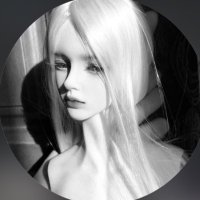 ねこ (@neko_nekosan1) 's Twitter Profile