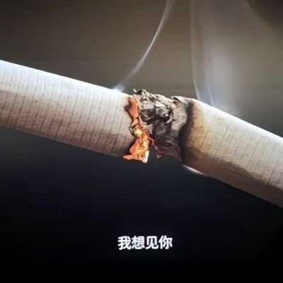 dluz855061's profile picture. 