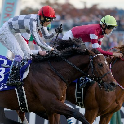 umasada137's profile picture. たまに関東の競馬場に現れて写真も撮ってます。自作PC関連も好きです。ドウデュース・メイショウタバル・トロヴァトーレ・ミリオンローズ中心に応援中。ヴィルシーナ全冠！