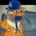 Steven Yapper (@stevenyapper1) Twitter profile photo Steven Yapper (@stevenyapper1) Twitter profile photo