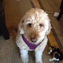 Natty Gordon Hoover - @Nattygirl1313 - Twitter