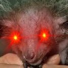 svynxSNKR's profile picture. moving like Frank Saint