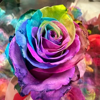 Rs420247's profile picture. long term advocate for natural medicine 🌱 - petrol head and speed enthusiast - have been known to drift a car in the past , hand control ♿️ specialist