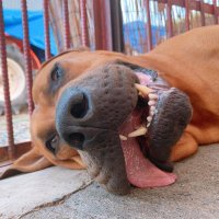 OLHA (@alliva0) 's Twitter Profile