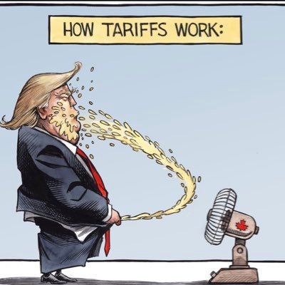 StephaneDu61021's profile picture. 