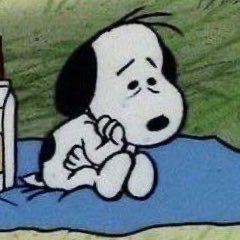 woeismebro's profile picture. ॐ • I wallow in despair • Doctor