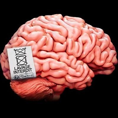Cerveau_sale's profile picture. Pensée non policée
