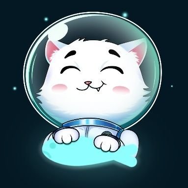 nikimmikimyokki's profile picture. Herkes kendi hayatından sorumlu kimse kimseye boş boş laf etmese artık 🤦‍♀️