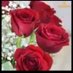 ورده البنفسج (@dhhdjjcchsh) Twitter profile photo ورده البنفسج (@dhhdjjcchsh) Twitter profile photo
