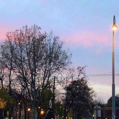 bel4kin's profile picture. 