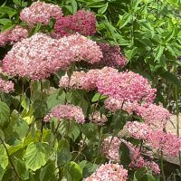 Helen G (@heleng84741605) 's Twitter Profile