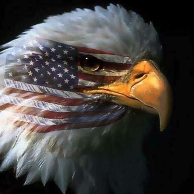 blingdelite's profile picture. Proud MAGA