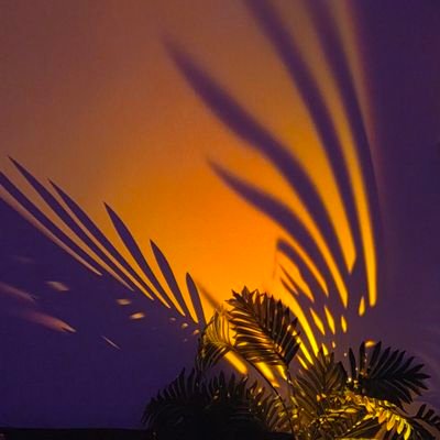 Melmelcha6's profile picture. 