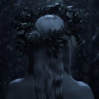 VL (@vladislavliu) 's Twitter Profile