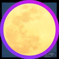 deving.zone (🌕️,🐋,🦁,🉐) (@deving_zone) 's Twitter Profile Photo deving.zone (🌕️,🐋,🦁,🉐) (@deving_zone) 's Twitter Profile Photo
