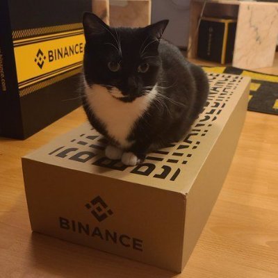 mustafa23602477's profile picture. 