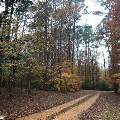 Christian. (Thank You, Jesus!) Retired. Love to hike.