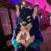 Jemma Wolffe (@thiccgalwolffe) Twitter profile photo Jemma Wolffe (@thiccgalwolffe) Twitter profile photo
