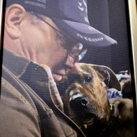 SilentServiceVet (@silentservice56) 's Twitter Profile