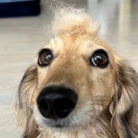 dashberts. Ξ (@dashberts) 's Twitter Profile Photo dashberts. Ξ (@dashberts) 's Twitter Profile Photo