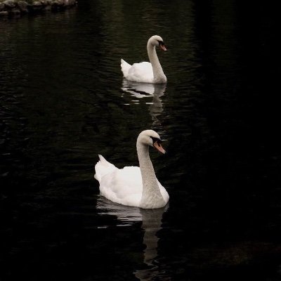 faytae914's profile picture. 