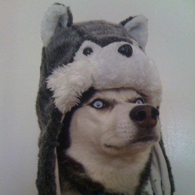 SendHelpHere's profile picture. 19 | #Cumbria | Navigating through life