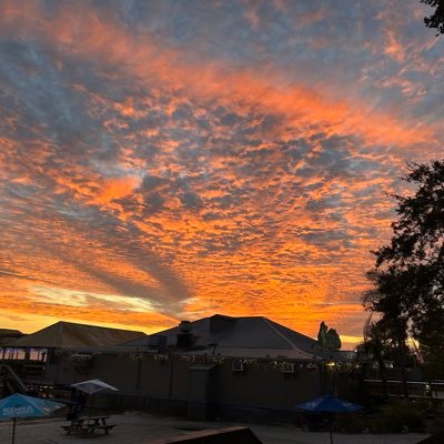 Heather1191516's profile picture. person in central Florida