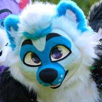 Furry joyelka (@furry_joyelka) 's Twitter Profile Photo Furry joyelka (@furry_joyelka) 's Twitter Profile Photo