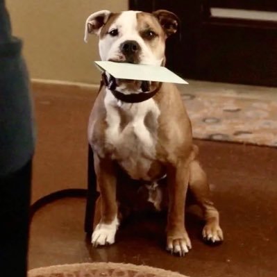 vangoff_08's profile picture. 