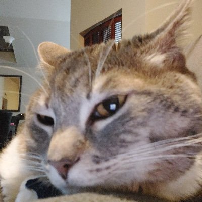 Barontellian's profile picture. 