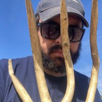 ANTICUADO (@anticuadold) 's Twitter Profile