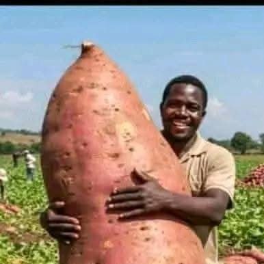 smatekha70's profile picture. Quiet but rough on bullies