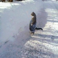 Zach (@spidrhxo) 's Twitter Profile