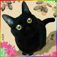 漣 ✾ 黒猫堂 🐈⬛🐈🐾 (@sazanami_knd) 's Twitter Profile Photo 漣 ✾ 黒猫堂 🐈⬛🐈🐾 (@sazanami_knd) 's Twitter Profile Photo