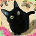 漣 ✾ 黒猫堂 🐈⬛🐈🐾 (@sazanami_knd) Twitter profile photo 漣 ✾ 黒猫堂 🐈⬛🐈🐾 (@sazanami_knd) Twitter profile photo