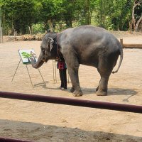 4blues (@valeroblues881) 's Twitter Profile