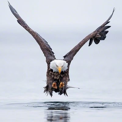 mkomazice's profile picture.