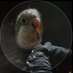 🦜🦜 Periko 🦜🦜 (@the_periko_) Twitter profile photo 🦜🦜 Periko 🦜🦜 (@the_periko_) Twitter profile photo