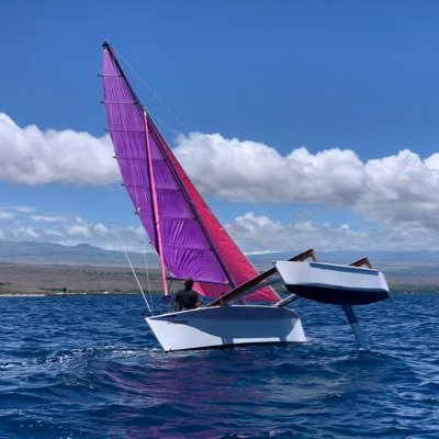 ProaPeople's profile picture. We are a family of Errants building traditional boats using modern materials. Sawmill. Aquaponics. Rottweilers. Sailing. Come sail with us! 🐬⛵️🐋